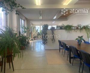 Prenájom Košice I. Staré mesto kancelárie sklady výroba