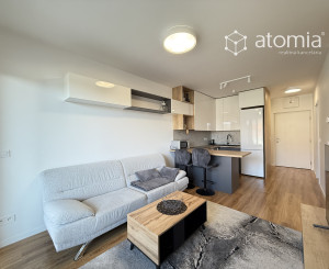 Prenájom 1,5 izbového bytu v Košiciach