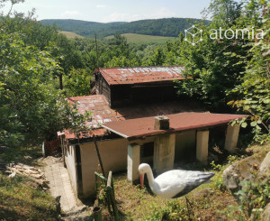 Svinica- Viničný vrch, chata so záhradou na predaj