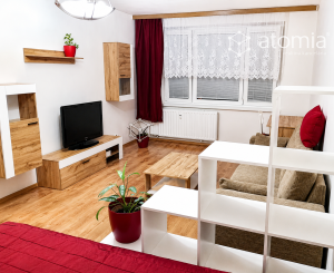 Obrovský 1 izbový byt vo výbornej lokalite blízko centra