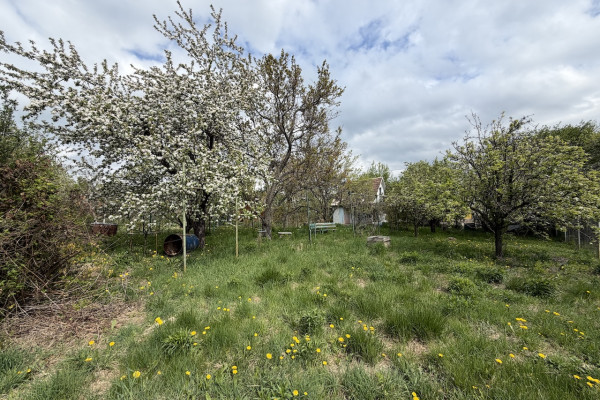 Rovinatý pozemok na Kalvárii v Košiciach