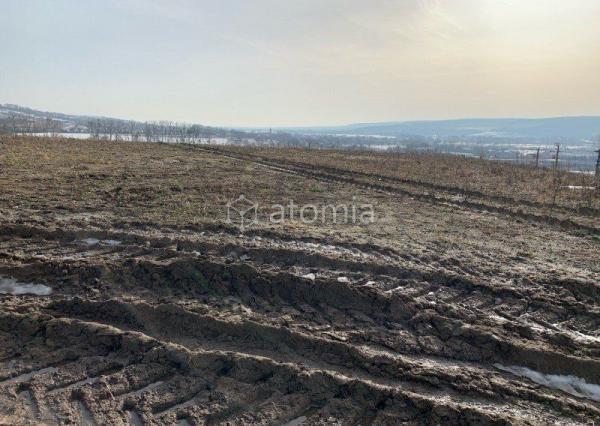 Na predaj priemyselný pozemok