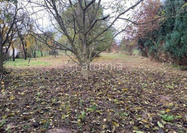 Pekný pozemok s dvomi drevostavbami a základovou doskou