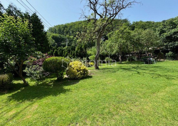 PREDANÉ !  Pekný vidiecky dom po rek.  Zlatá Idka