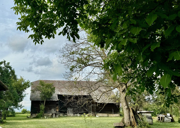 Predaj  - Vyšná Myšľa, gazdovský rodinný dom  REZERVOVANÉ