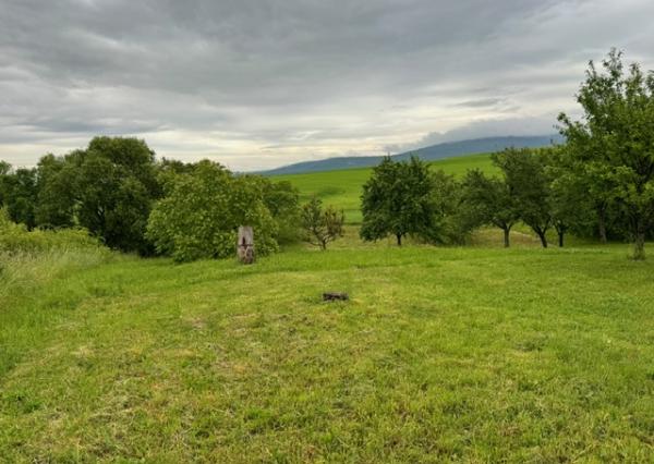 Vyšná Myšľa - gazdovský dom s veľkým pozemkom REZERVOVANÉ