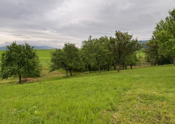 Predaj  - Vyšná Myšľa, gazdovský rodinný dom  REZERVOVANÉ