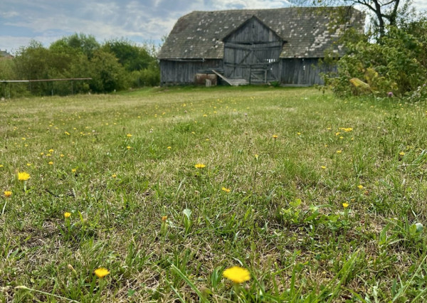 PREDAJ - rodinný dom, BAČKOVÍK