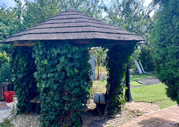 CHATA v obci GEČA na PREDAJ