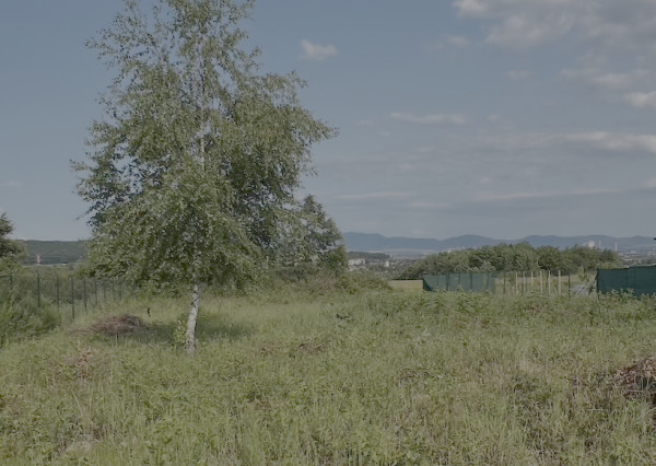 Na predaj pozemok - záhrada v Košiciach