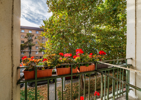 Na predaj tehlový byt na Komenského ulici