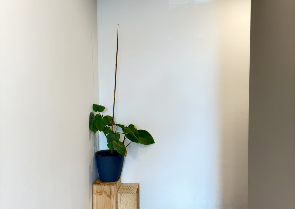 3-izbový Byt s Terasou v Rezidencii Albelli