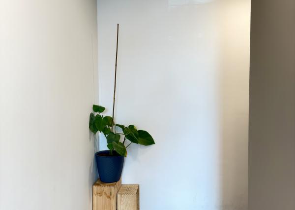 3-izbový Byt s Terasou v Rezidencii Albelli