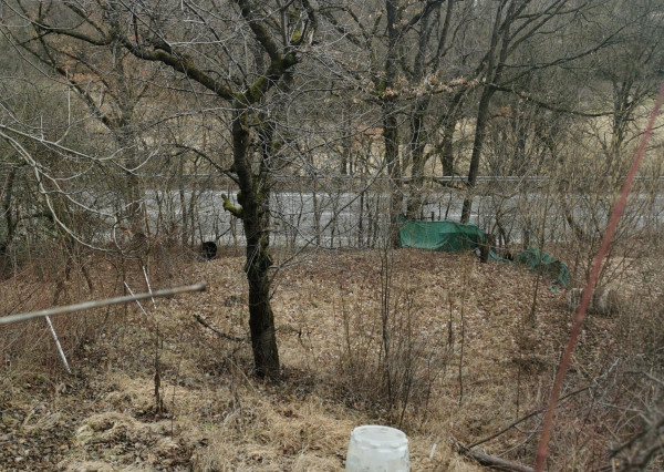 Svinica- Viničný vrch, chata so záhradou na predaj