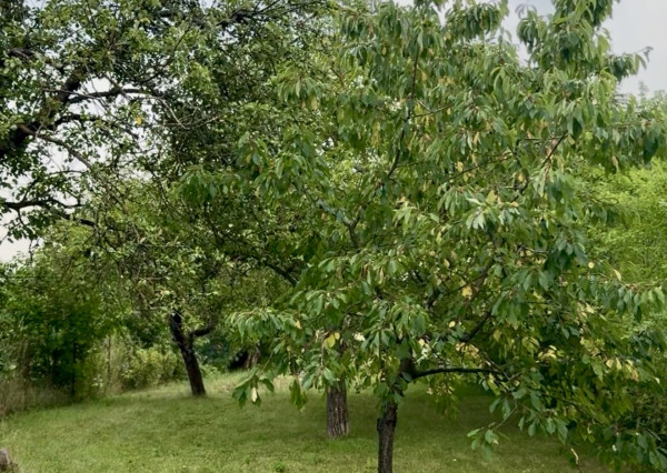 NA PREDAJ stavebný pozemok, Gelnická ul., Košice – Pereš