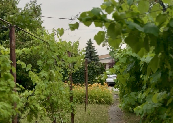 NA PREDAJ stavebný pozemok, Gelnická ul., Košice – Pereš