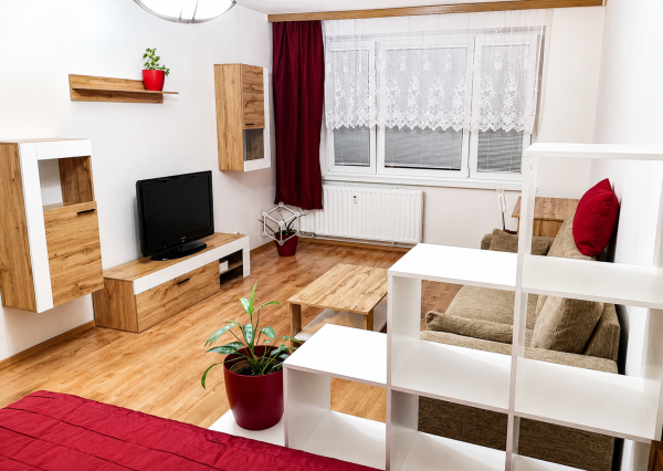 Obrovský 1 izbový byt vo výbornej lokalite blízko centra