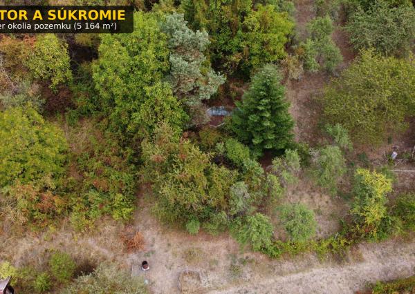 Priestranná záhrada 5164 m² s chatou, Sečovská cesta, Košice