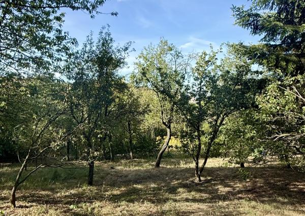 Priestranná záhrada 5164 m² s chatou, Sečovská cesta, Košice