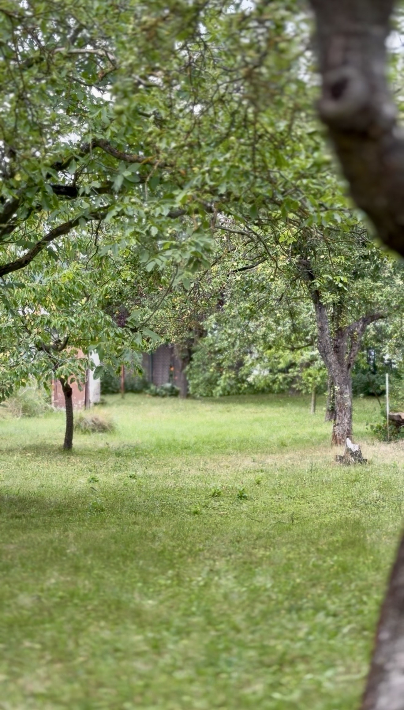 NA PREDAJ stavebný pozemok, Gelnická ul., Košice – Pereš